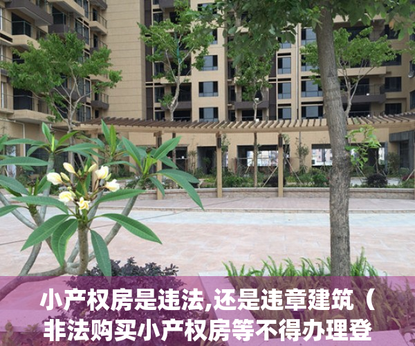 小产权房是违法,还是违章建筑（非法购买小产权房等不得办理登记）(小产权房算是违章建筑吗?)