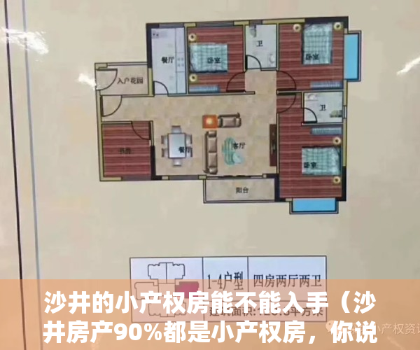 沙井的小产权房能不能入手（沙井房产90%都是小产权房，你说可以买么？）