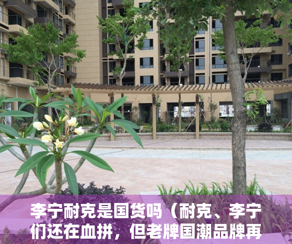 李宁耐克是国货吗（耐克、李宁们还在血拼，但老牌国潮品牌再也回不到从前）
