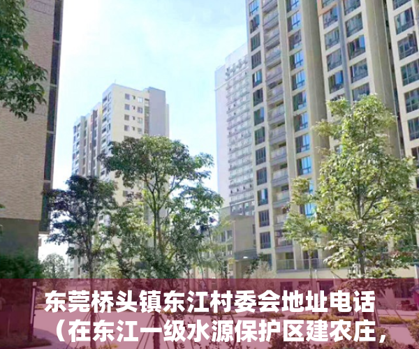 东莞桥头镇东江村委会地址电话（在东江一级水源保护区建农庄，东莞桥头拆除违建五千余平方米！）