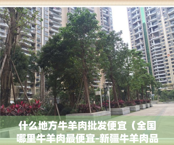 什么地方牛羊肉批发便宜（全国哪里牛羊肉最便宜-新疆牛羊肉品牌！）(哪里的牛羊肉批发便宜)