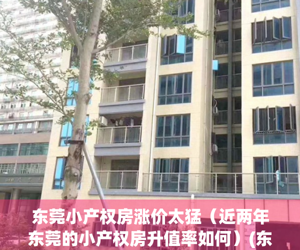 东莞小产权房涨价太猛（近两年东莞的小产权房升值率如何）(东莞小产权房价2020最新价格)