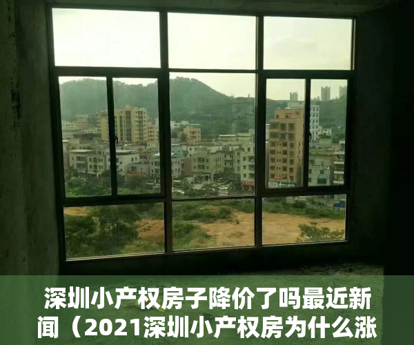 深圳小产权房子降价了吗最近新闻（2021深圳小产权房为什么涨这么猛？）