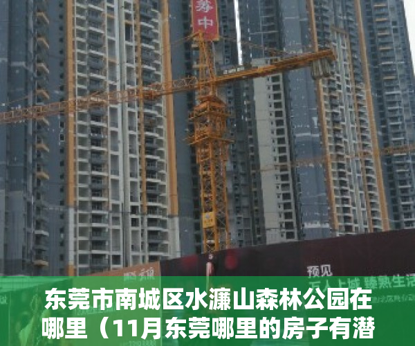 东莞市南城区水濂山森林公园在哪里（11月东莞哪里的房子有潜力？看南城水濂山房价走势）