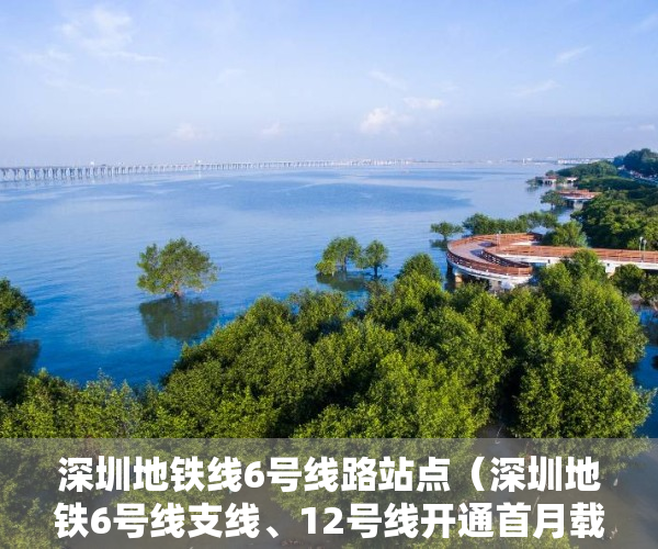 深圳地铁线6号线路站点（深圳地铁6号线支线、12号线开通首月载客62685万人次）