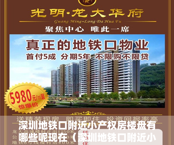 深圳地铁口附近小产权房楼盘有哪些呢现在（深圳地铁口附近小产权房楼盘有哪些？）