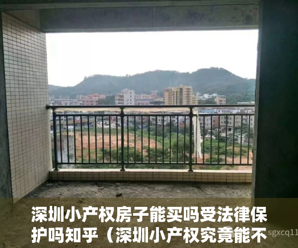 深圳小产权房子能买吗受法律保护吗知乎（深圳小产权究竟能不能买？）