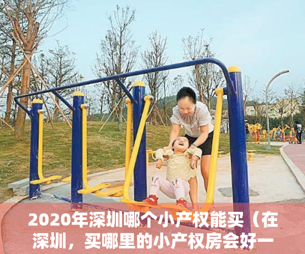2020年深圳哪个小产权能买（在深圳，买哪里的小产权房会好一点？怎么选择区域？）