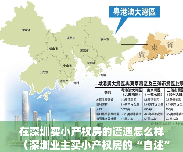 在深圳买小产权房的遭遇怎么样（深圳业主买小产权房的“自述”经历）(深圳买小产权房攻略)