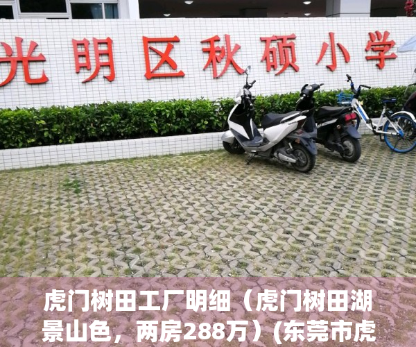 虎门树田工厂明细（虎门树田湖景山色，两房288万）(东莞市虎门镇树田村)