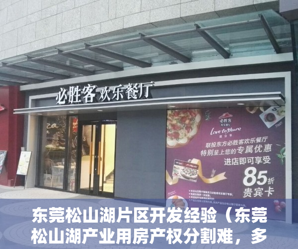 东莞松山湖片区开发经验（东莞松山湖产业用房产权分割难，多家企业“买楼”办公却是长租性质）