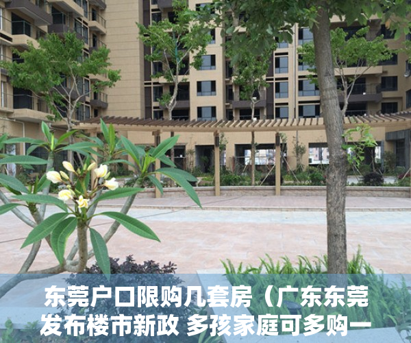 东莞户口限购几套房（广东东莞发布楼市新政 多孩家庭可多购一套房）