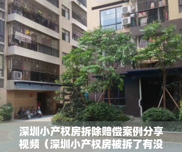 深圳小产权房拆除赔偿案例分享视频（深圳小产权房被拆了有没有补偿？）