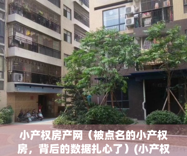 小产权房产网（被点名的小产权房，背后的数据扎心了）(小产权房最新进展)