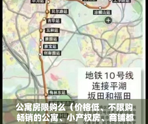 公寓房限购么（价格低、不限购 畅销的公寓、小产权房、商铺都有哪些弊端？）