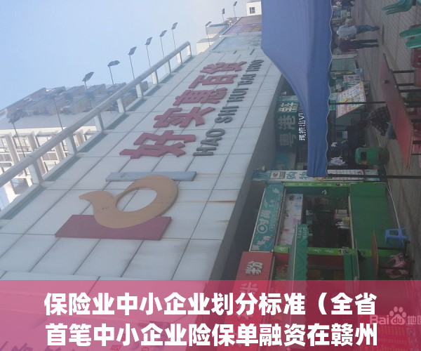 保险业中小企业划分标准（全省首笔中小企业险保单融资在赣州落地）(中小保险机构)