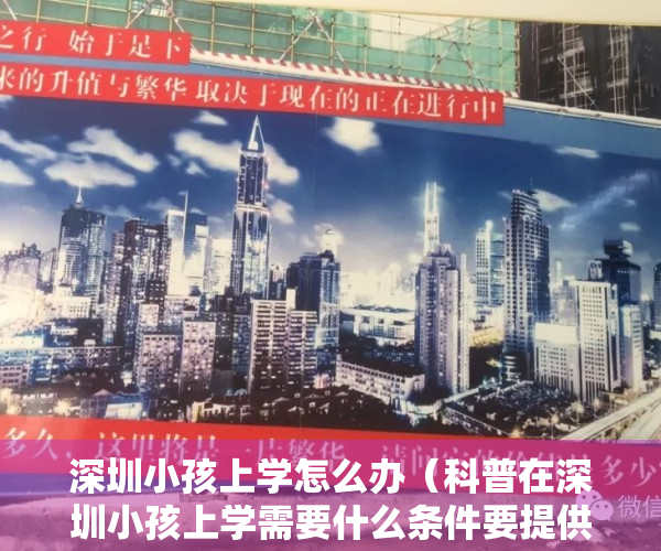 深圳小孩上学怎么办（科普在深圳小孩上学需要什么条件要提供哪些资料申请入学流程有哪些？各区入学积分表及积分规则）