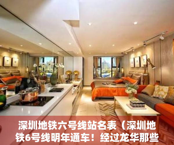 深圳地铁六号线站名表（深圳地铁6号线明年通车！经过龙华那些站点？受益的小产权都在这）