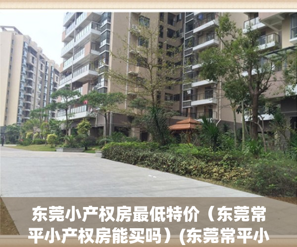 东莞小产权房最低特价（东莞常平小产权房能买吗）(东莞常平小产权房价格)