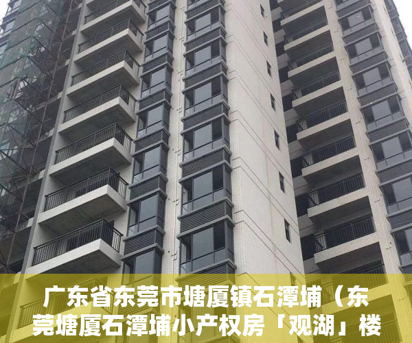 广东省东莞市塘厦镇石潭埔（东莞塘厦石潭埔小产权房「观湖」楼盘详情）