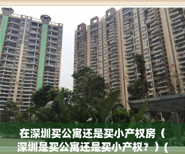 在深圳买公寓还是买小产权房（深圳是买公寓还是买小产权？）(在深圳买公寓好还是住宅房好)