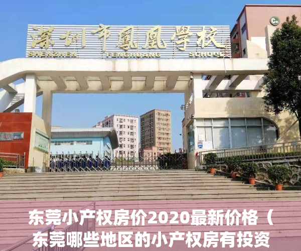 东莞小产权房价2020最新价格（东莞哪些地区的小产权房有投资潜力？）(东莞的小产权房多少钱一平方)