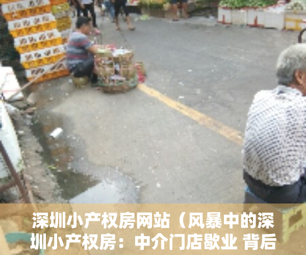 深圳小产权房网站（风暴中的深圳小产权房：中介门店歇业 背后利益链复杂）