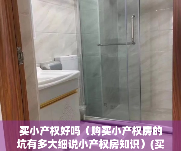买小产权好吗（购买小产权房的坑有多大细说小产权房知识）(买小产权房的坏处)
