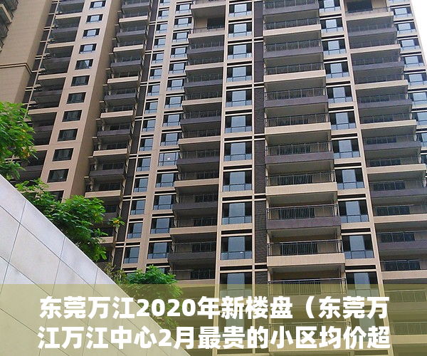 东莞万江2020年新楼盘（东莞万江万江中心2月最贵的小区均价超过3万平，均价14302元平）