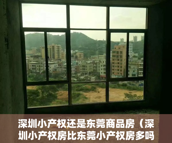 深圳小产权还是东莞商品房（深圳小产权房比东莞小产权房多吗深圳到底有多少小产权房）