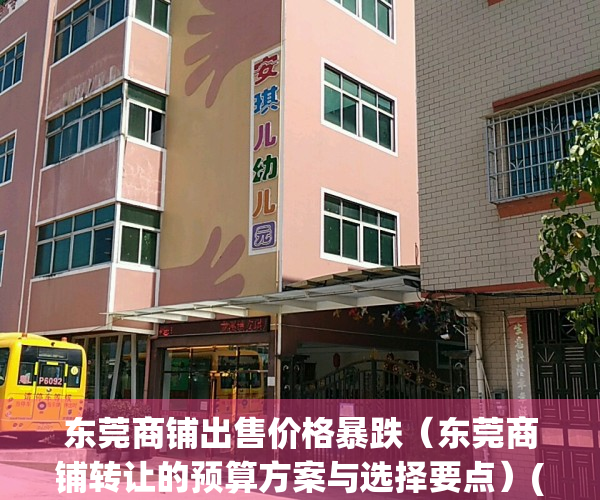 东莞商铺出售价格暴跌（东莞商铺转让的预算方案与选择要点）(东莞商铺出租转让)