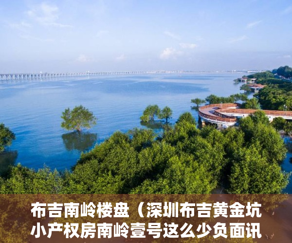 布吉南岭楼盘（深圳布吉黄金坑小产权房南岭壹号这么少负面讯息,买完布吉南岭壹号会后悔吗？）