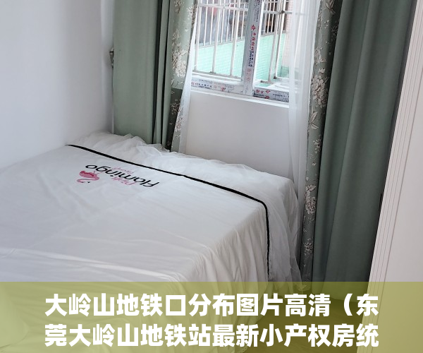 大岭山地铁口分布图片高清（东莞大岭山地铁站最新小产权房统建楼（莞岭花苑）一口价3980元㎡ ，大路第一排地铁1号线《大岭山站》300米）