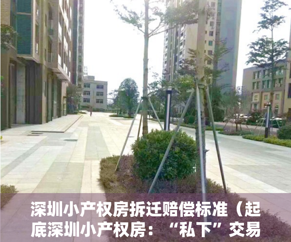 深圳小产权房拆迁赔偿标准（起底深圳小产权房：“私下”交易持续 豪赌拆迁补偿）