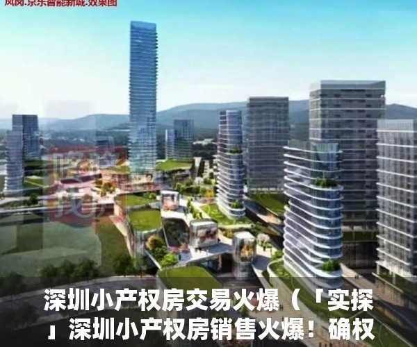 深圳小产权房交易火爆（「实探」深圳小产权房销售火爆！确权后将走向何方？购买者是这么想的……）