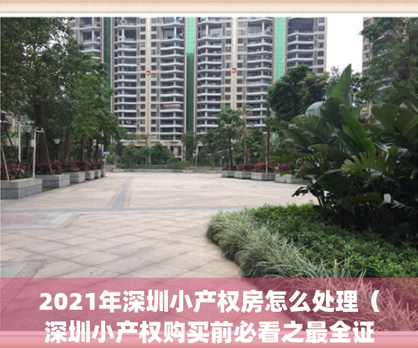 2021年深圳小产权房怎么处理（深圳小产权购买前必看之最全证件！）(深圳小产权房最终怎么处理)