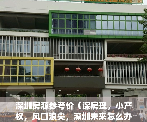 深圳房源参考价（深房理，小产权，风口浪尖，深圳未来怎么办？）(深圳深房理网红盘)