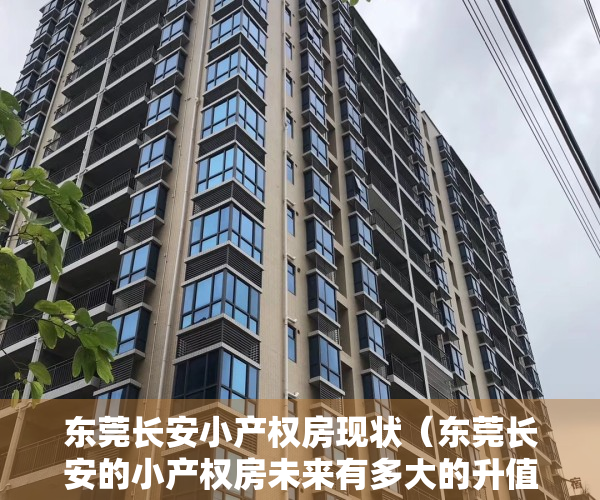 东莞长安小产权房现状（东莞长安的小产权房未来有多大的升值空间？）