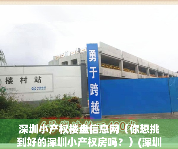 深圳小产权楼盘信息网（你想挑到好的深圳小产权房吗？）(深圳小产权2021年火了)