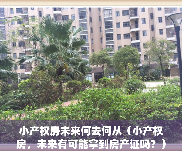 小产权房未来何去何从（小产权房，未来有可能拿到房产证吗？）(小产权房未来还有可能办理房产证吗)