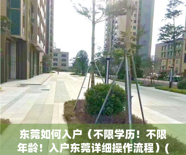 东莞如何入户（不限学历！不限年龄！入户东莞详细操作流程）(2021年东莞入户条件)