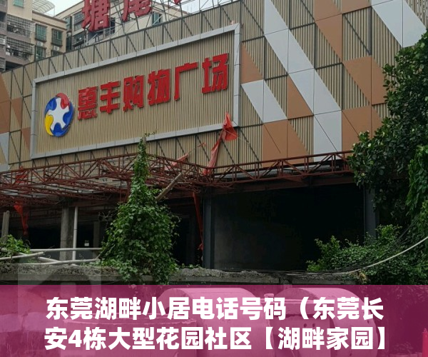东莞湖畔小居电话号码（东莞长安4栋大型花园社区【湖畔家园】小产权房最新开盘出售，12停车位）
