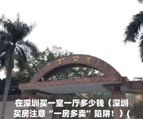 在深圳买一室一厅多少钱（深圳买房注意“一房多卖”陷阱！）(深圳的一房一厅的房租一般多少钱)