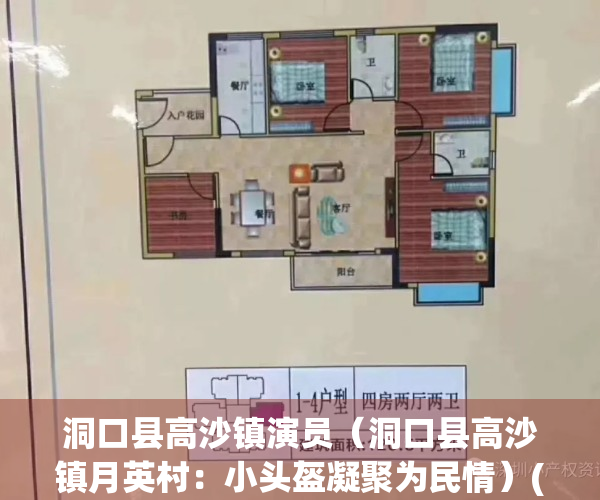 洞口县高沙镇演员（洞口县高沙镇月英村：小头盔凝聚为民情）(洞口县高沙镇党组成员)