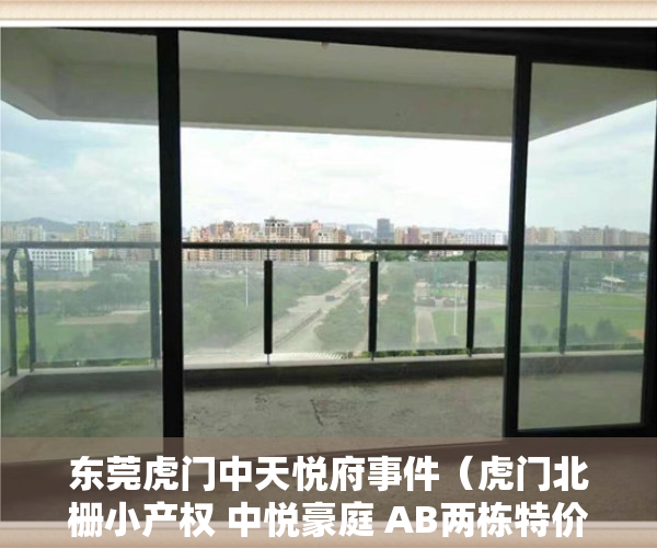 东莞虎门中天悦府事件（虎门北栅小产权 中悦豪庭 AB两栋特价4380）