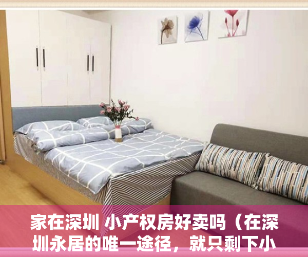家在深圳 小产权房好卖吗（在深圳永居的唯一途径，就只剩下小产权房，价格合适有法律风险）