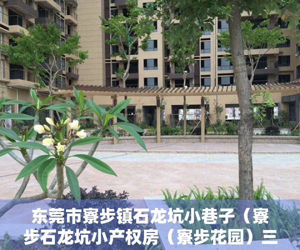 东莞市寮步镇石龙坑小巷子（寮步石龙坑小产权房（寮步花园）三房四房出售特价4688元起 首付4成分期5年）