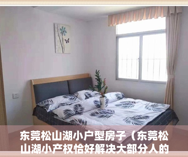 东莞松山湖小户型房子（东莞松山湖小产权恰好解决大部分人的住房问题!）