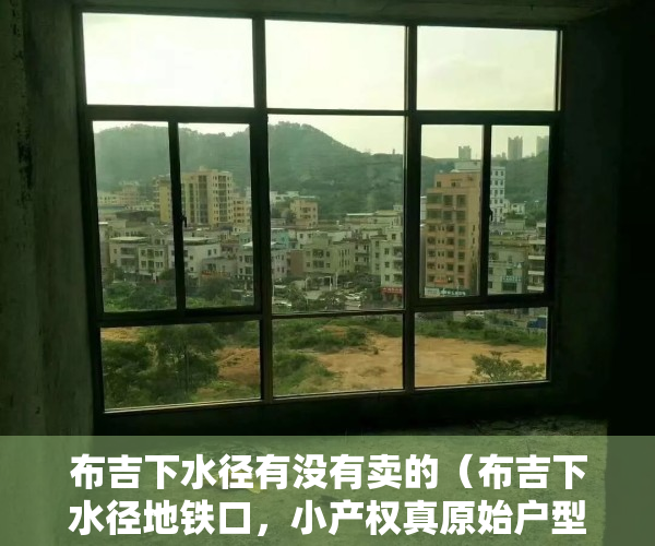 布吉下水径有没有卖的（布吉下水径地铁口，小产权真原始户型 三房128平首付50万起！！）