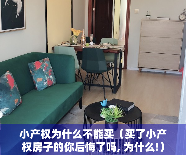小产权为什么不能买（买了小产权房子的你后悔了吗, 为什么!）